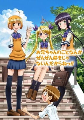 Oniichan no Koto nanka Zenzen Suki ja Nai n da kara ne!! (Latino)
