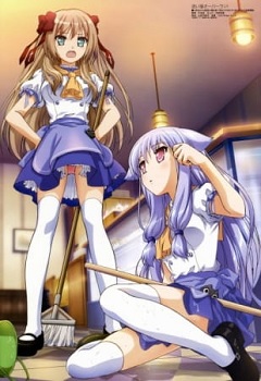 Mayoi Neko Overrun!
