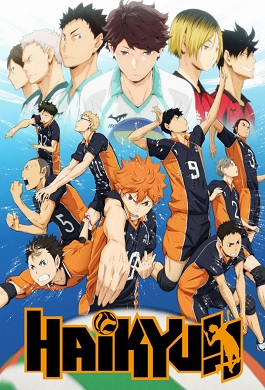 Haikyuu!! Temporada 1 (Latino)