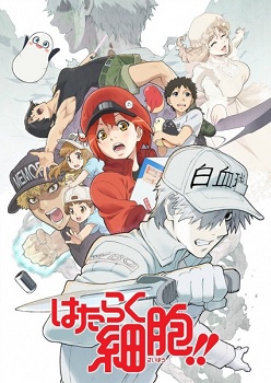 Hataraku Saibou 2